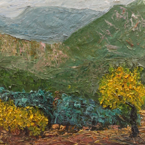 Paisaje - Horta Sant Joan